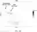 Fig. 73 - METHODS AND COMPOSITIONS FOR THE MODULATION OF OPIOID SIGNALING IN THE TUMOR MICROENVIRONMENT
