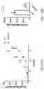 Fig. 78 - METHODS AND COMPOSITIONS FOR THE MODULATION OF OPIOID SIGNALING IN THE TUMOR MICROENVIRONMENT