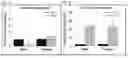 Fig. 09 - BONE AUGMENTATION UTILIZING MUSCLE-DERIVED PROGENITOR COMPOSITIONS, AND TREATMENTS THEREOF
