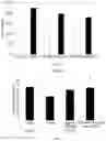Fig. 02 - Composition for improving cognitive ability and preventing or treating dementia and attention deficit hyperactivity disorder, comprising extract and fraxin as active ingredients