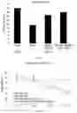 Fig. 04 - Composition for improving cognitive ability and preventing or treating dementia and attention deficit hyperactivity disorder, comprising extract and fraxin as active ingredients