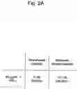 Fig. 05 - Agent for inducing interferon production containing lactic acid bacteria