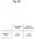 Fig. 06 - Agent for inducing interferon production containing lactic acid bacteria