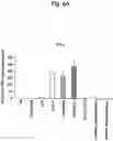 Fig. 09 - Agent for inducing interferon production containing lactic acid bacteria