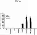 Fig. 17 - Agent for inducing interferon production containing lactic acid bacteria