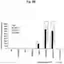 Fig. 18 - Agent for inducing interferon production containing lactic acid bacteria