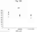 Fig. 24 - Agent for inducing interferon production containing lactic acid bacteria