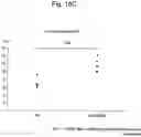 Fig. 31 - Agent for inducing interferon production containing lactic acid bacteria