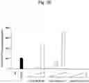 Fig. 34 - Agent for inducing interferon production containing lactic acid bacteria