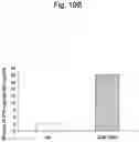 Fig. 36 - Agent for inducing interferon production containing lactic acid bacteria