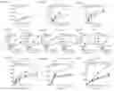 Fig. 07 - Compositions and methods for preventing and reducing inflammation and treating disorders associated with inflammation