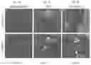 Fig. 08 - Compositions and methods for preventing and reducing inflammation and treating disorders associated with inflammation