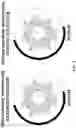 Fig. 04 - AMPHIPATHIC ALPHA-HELICAL ANTIMICROBIAL PEPTIDES TREAT INFECTIONS BY GRAM-NEGATIVE PATHOGENS