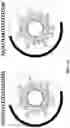 Fig. 09 - AMPHIPATHIC ALPHA-HELICAL ANTIMICROBIAL PEPTIDES TREAT INFECTIONS BY GRAM-NEGATIVE PATHOGENS