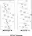 Fig. 10 - AMPHIPATHIC ALPHA-HELICAL ANTIMICROBIAL PEPTIDES TREAT INFECTIONS BY GRAM-NEGATIVE PATHOGENS
