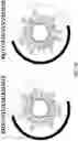 Fig. 11 - AMPHIPATHIC ALPHA-HELICAL ANTIMICROBIAL PEPTIDES TREAT INFECTIONS BY GRAM-NEGATIVE PATHOGENS