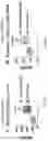 Fig. 12 - ASARM TREATMENT FOR KIDNEY AND MINERALIZATION DISORDERS AND HYPERPHOSPHATEMIA