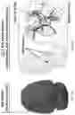 Fig. 14 - ASARM TREATMENT FOR KIDNEY AND MINERALIZATION DISORDERS AND HYPERPHOSPHATEMIA
