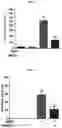 Fig. 06 - Composition for and Method of Treating Hepatic Tissue Injury