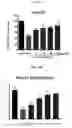 Fig. 12 - Composition for and Method of Treating Hepatic Tissue Injury