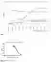 Fig. 03 - Hard tissue therapeutics