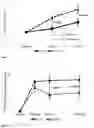 Fig. 05 - Hard tissue therapeutics