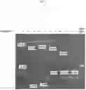Fig. 10 - PROTECTION AGAINST STRESS-MEDIATED DAMAGE FROM IONIZING RADIATION