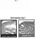 Fig. 16 - PROTECTION AGAINST STRESS-MEDIATED DAMAGE FROM IONIZING RADIATION