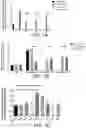 Fig. 02 - Compositions and Methods for Promoting Angiogenesis in the Eye
