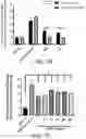 Fig. 03 - Compositions and Methods for Promoting Angiogenesis in the Eye
