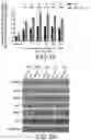 Fig. 04 - Compositions and Methods for Promoting Angiogenesis in the Eye