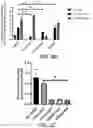 Fig. 05 - Compositions and Methods for Promoting Angiogenesis in the Eye