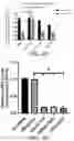 Fig. 10 - Compositions and Methods for Promoting Angiogenesis in the Eye