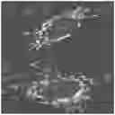 Fig. 01 - Use of collagen hydrolysate for improving endurance performance and for stimulating lipid catabolism