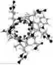 Fig. 01 - ANTIMICROBIAL PEPTIDE FOR ONYCHOMYCOSIS
