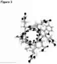 Fig. 03 - ANTIMICROBIAL PEPTIDE FOR ONYCHOMYCOSIS
