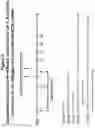 Fig. 14 - PEPTIDE IMMUNOGENS TARGETING INTERLEUKIN 6 (IL-6) AND FORMULATIONS THEREOF FOR IMMUNOTHERAPY OF DISEASES IMPACTED BY IL-6 DYSREGULATION