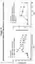 Fig. 21 - PEPTIDE IMMUNOGENS TARGETING INTERLEUKIN 6 (IL-6) AND FORMULATIONS THEREOF FOR IMMUNOTHERAPY OF DISEASES IMPACTED BY IL-6 DYSREGULATION