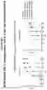 Fig. 25 - PEPTIDE IMMUNOGENS TARGETING INTERLEUKIN 6 (IL-6) AND FORMULATIONS THEREOF FOR IMMUNOTHERAPY OF DISEASES IMPACTED BY IL-6 DYSREGULATION
