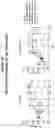 Fig. 32 - PEPTIDE IMMUNOGENS TARGETING INTERLEUKIN 6 (IL-6) AND FORMULATIONS THEREOF FOR IMMUNOTHERAPY OF DISEASES IMPACTED BY IL-6 DYSREGULATION