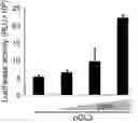 Fig. 01 - Method for Restoring Immune Tolerance In Vivo