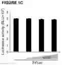 Fig. 03 - Method for Restoring Immune Tolerance In Vivo