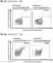 Fig. 09 - NOVEL PEPTIDES AND COMBINATION OF PEPTIDES AS TARGETS OR ACTIVE INGREDIENTS FOR USE IN IMMUNOTHERAPY AGAINST AML AND OTHER CANCERS