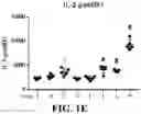 Fig. 04 - ANUCLEATE CELL-DERIVED VACCINES