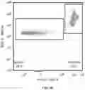 Fig. 12 - ANUCLEATE CELL-DERIVED VACCINES