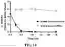 Fig. 16 - ANUCLEATE CELL-DERIVED VACCINES