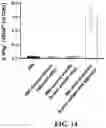 Fig. 20 - ANUCLEATE CELL-DERIVED VACCINES