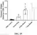Fig. 21 - ANUCLEATE CELL-DERIVED VACCINES