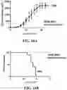 Fig. 22 - ANUCLEATE CELL-DERIVED VACCINES