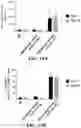 Fig. 25 - ANUCLEATE CELL-DERIVED VACCINES